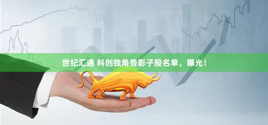 世纪汇通 科创独角兽影子股名单，曝光！