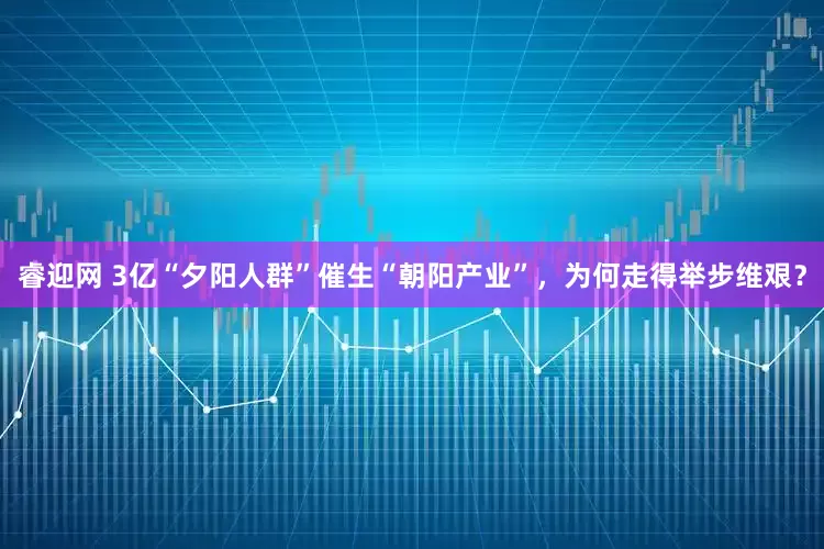 睿迎网 3亿“夕阳人群”催生“朝阳产业”，为何走得举步维艰？