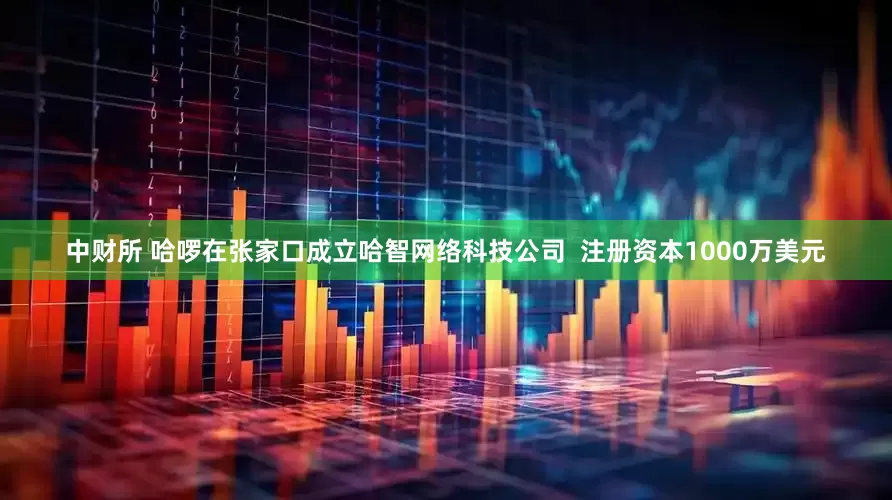 中财所 哈啰在张家口成立哈智网络科技公司  注册资本1000万美元